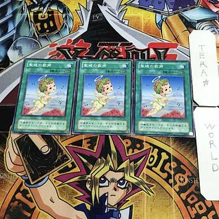 聖域の歌声 MR 2期ver 8 ノーマル 3枚セット てら