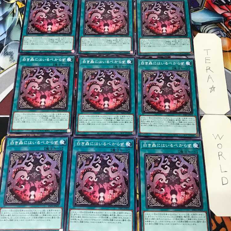 白き森にはいるべからず INFO 1 ノーマル 魔法 9枚セット てら 9枚