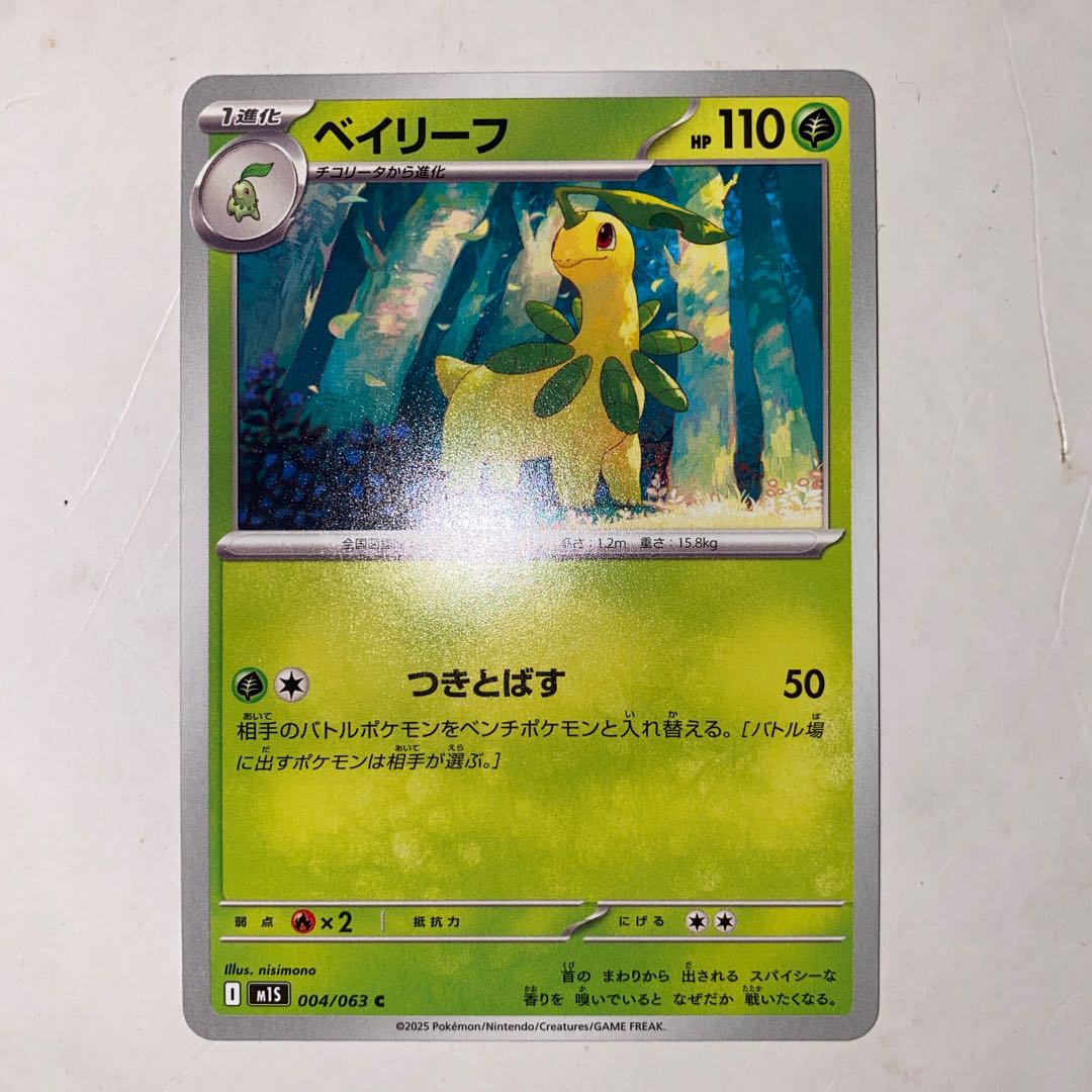 Bayleef C 004/063