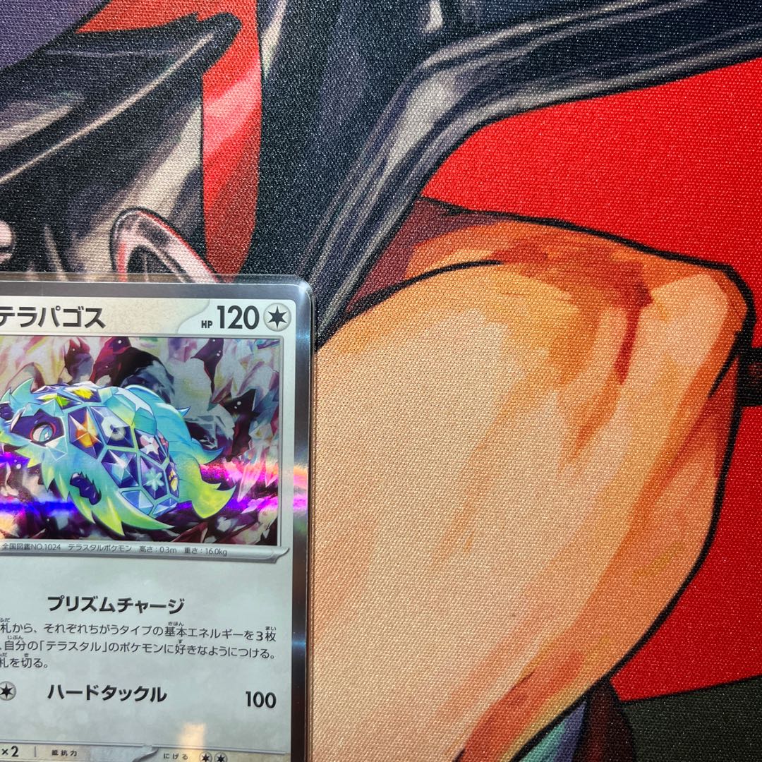 美品 テラパゴス R 093/106