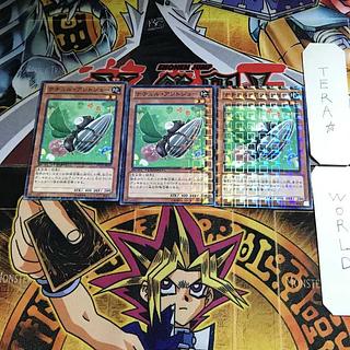 ナチュル・アントジョー DTC2 3 デュエルターミナル 3枚セット てら