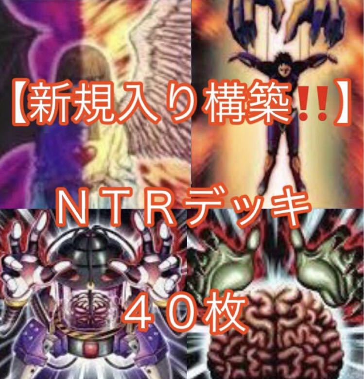 遊戯王【新規入り構築!!】NTRデッキ40枚の通販 電光雪花 遊戯王【新規入り構築!!】NTRデッキ40枚の通販 電光雪花