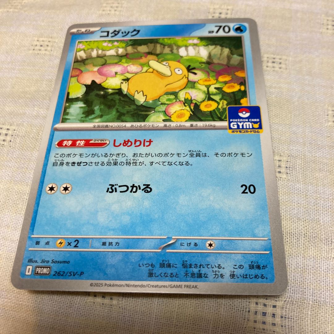 コダック ゴルダック しめりけの通販 ななたなゆー(870284110 コダック ゴルダック しめりけの通販 ななたなゆー(870284110