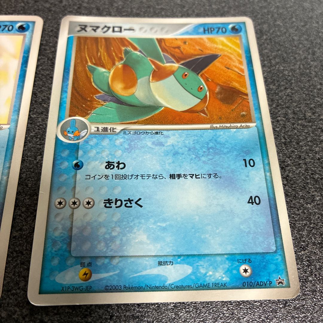 ラグラージ　ヌマクロー　ミズゴロウ　No.60