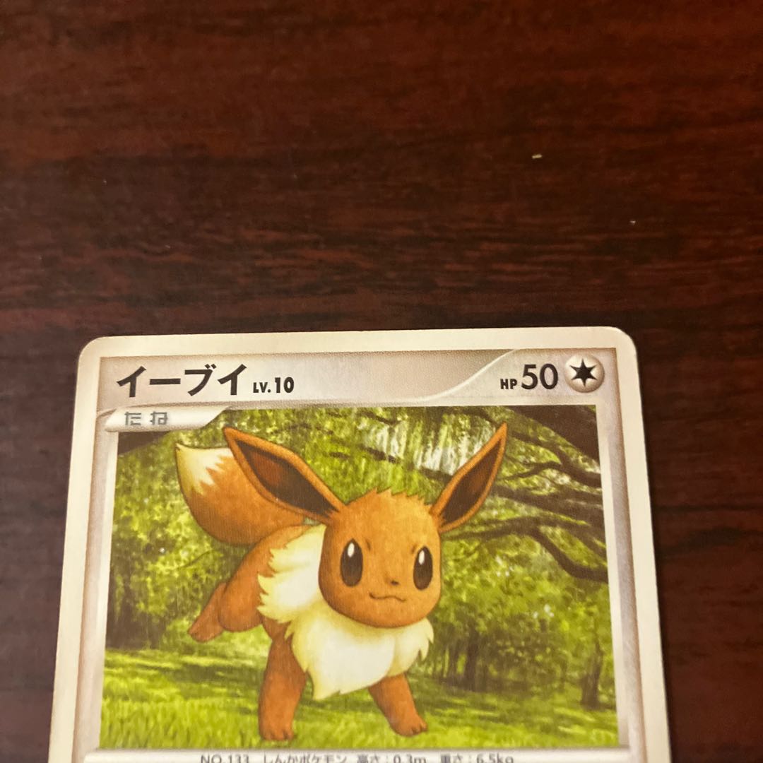 [Condition] B Pokémon Card: Eevee Lv. 10 1枚