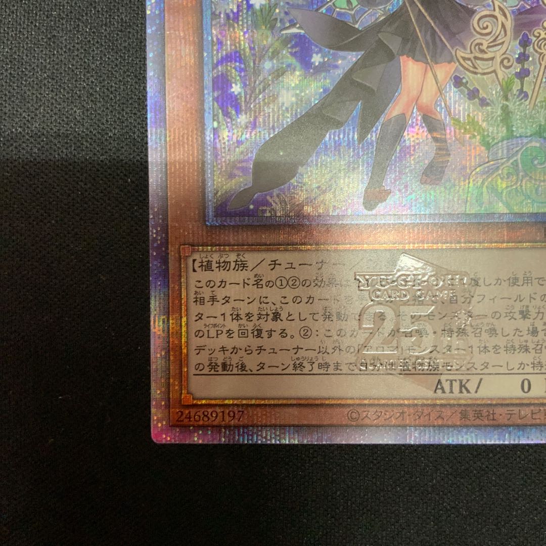 Alomari Squirrel-Rosalina QCSE, 25th Sikh PHNI-JP022