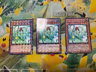 ナチュル・ローズウィップ　3枚 3枚