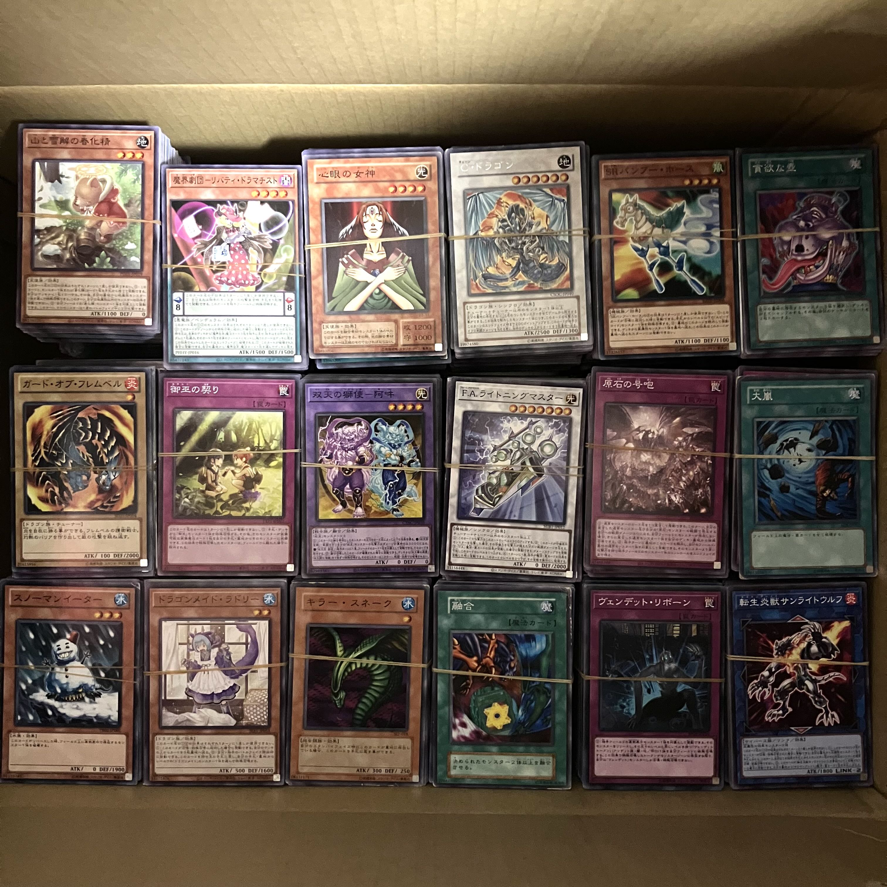 遊戯王 大量 まとめ売り 10000枚 1枚