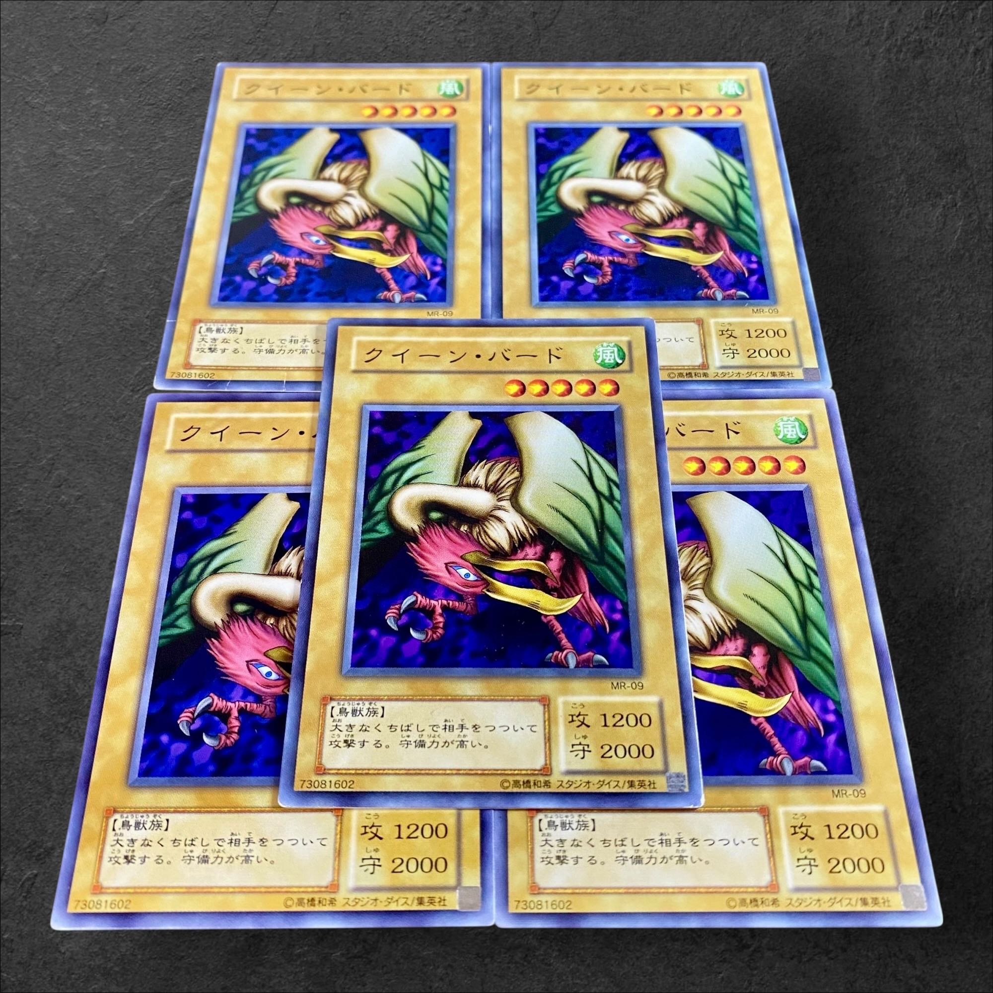 9706【遊戯王】二期　クイーン・バード　5枚セット