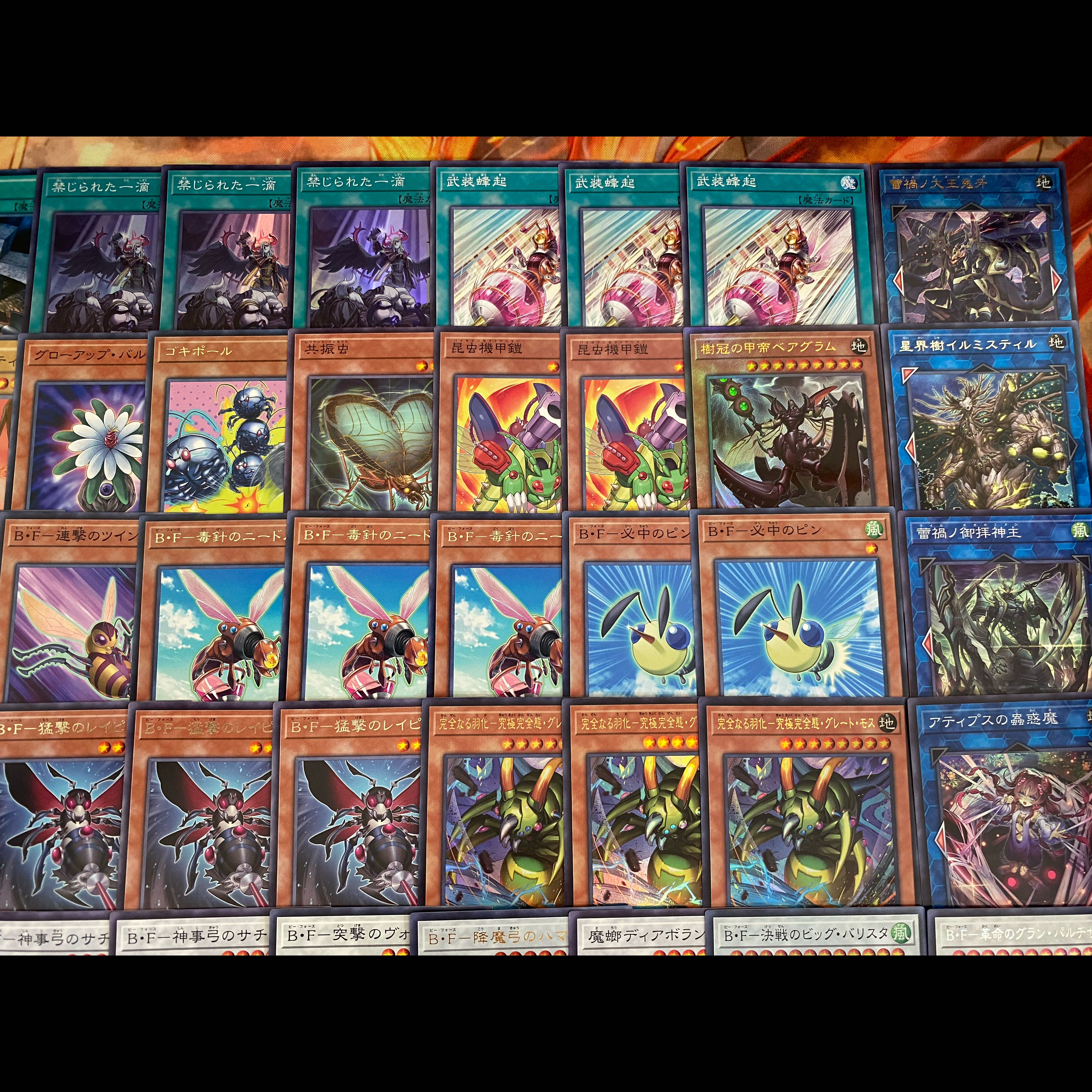 完全なる羽化究極完全態グレートモス デッキ 遊戯王 本格構築 大会構築