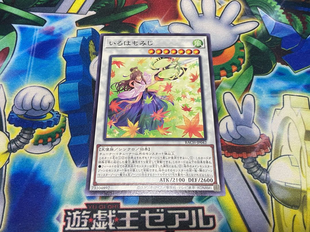 Y-1466 Iroha momiji Normal JP042