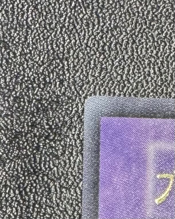 Black Demon's Dragon / Dragon Family / Yu-Gi-Oh / Early Ultra Rare 1枚