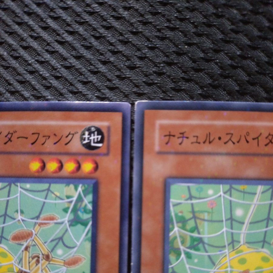 【ぽぽたん】遊戯王  6047  ナチュル・スパイダーファング ノーマル   2枚 2枚
