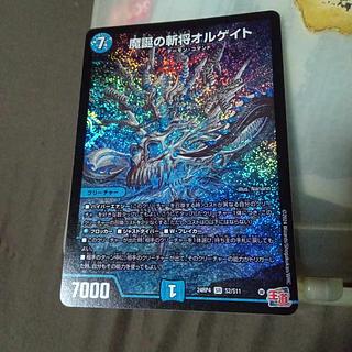 Discounted set Zanmakusho Orgate SR S2/S11