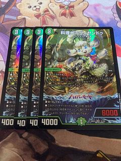 料理犬のヴィヤンドゥ VR 22/89