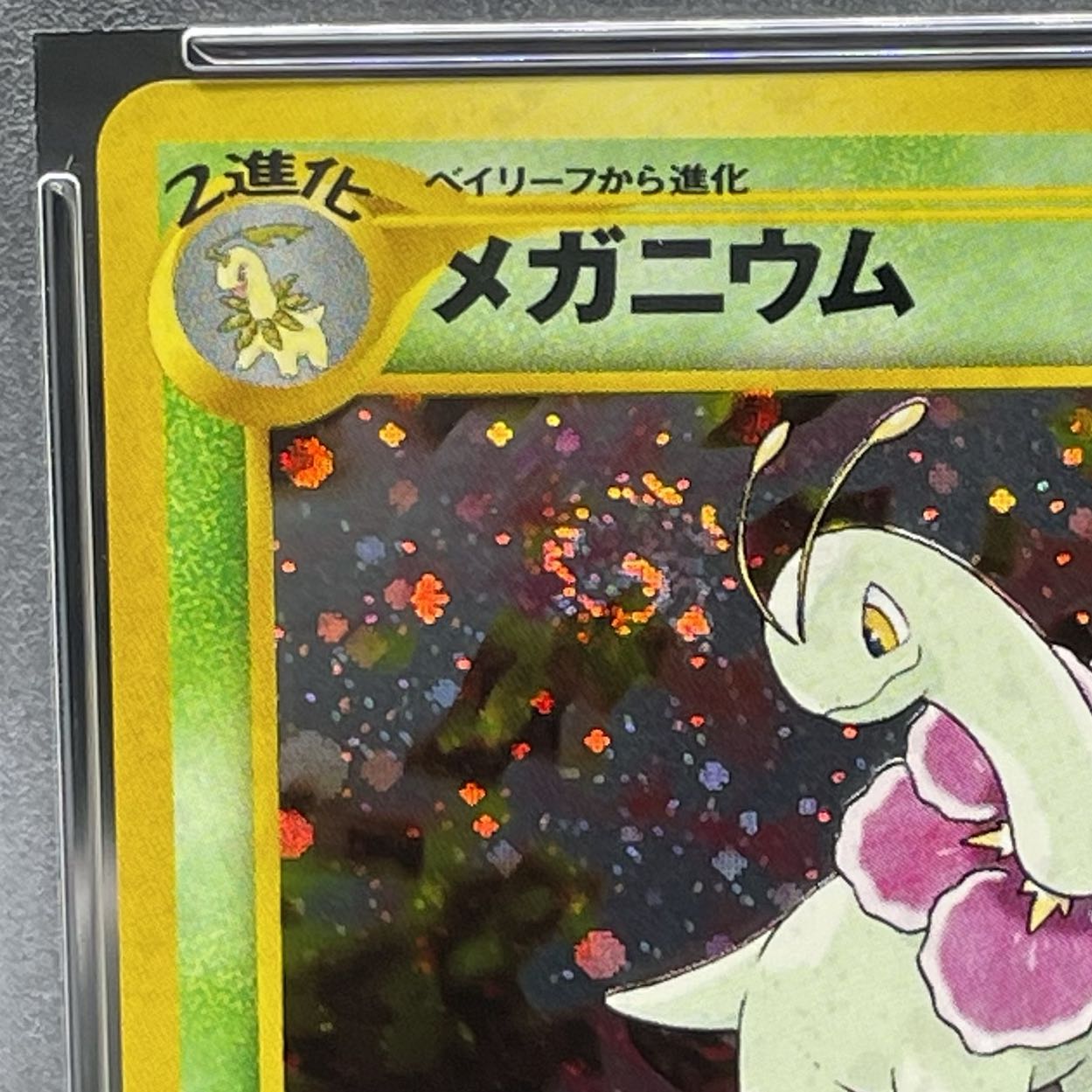 PSA10】メガニウム プレミアムファイル 旧裏の通販 土日祝休 PSA10】メガニウム プレミアムファイル 旧裏の通販 土日祝休