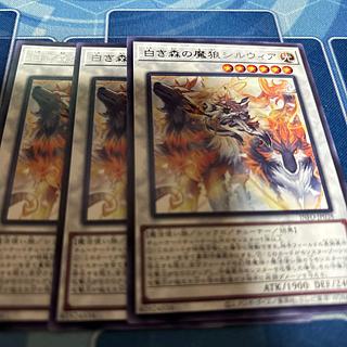 Silwia, the Demon Wolf of the White Forest Rare INFO-JP038