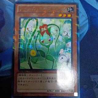 ナチュル・ローズウィップ レア JP011 1枚