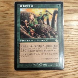 Sylvan Safekeeper—Rare—217/337 1枚