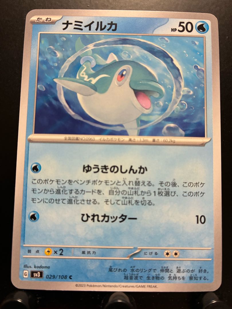 Pokekas Nami dolphins
