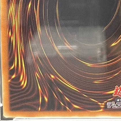 PSA10] Black Rose Dragon 20th Secret Rare JPS05