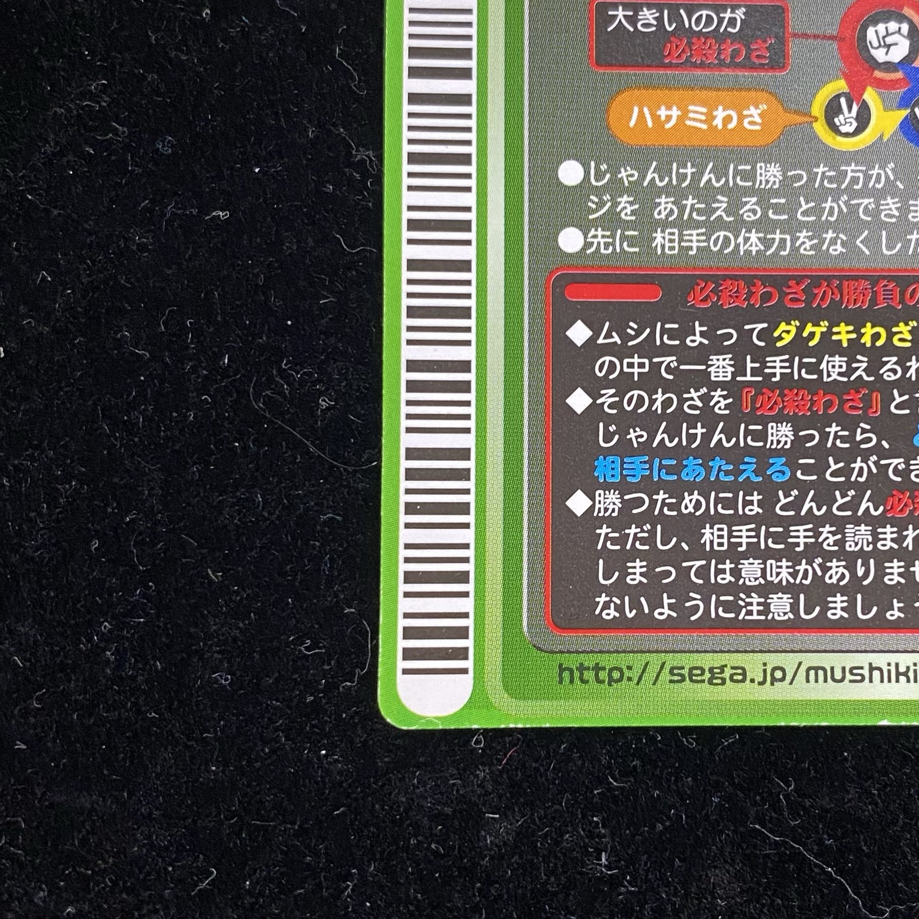 オオクワガタ［ロケテスト］ 1枚