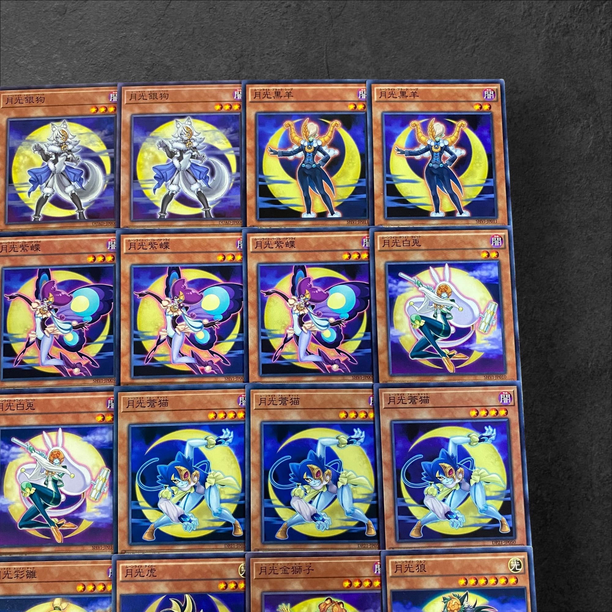 A205 [Yu-Gi-Oh!] Gekko Deck Parts, set of 28