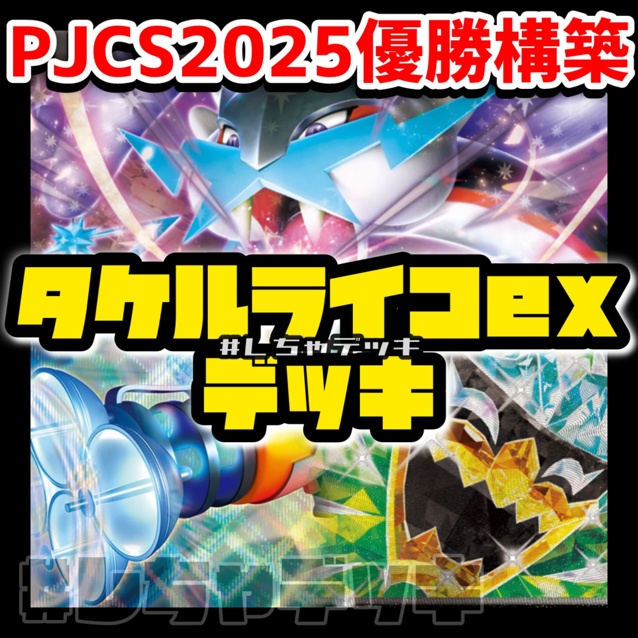 PJCS2025 Winner] Takeru Raiko Ogapon ex Constructed Deck Pokemon Cards