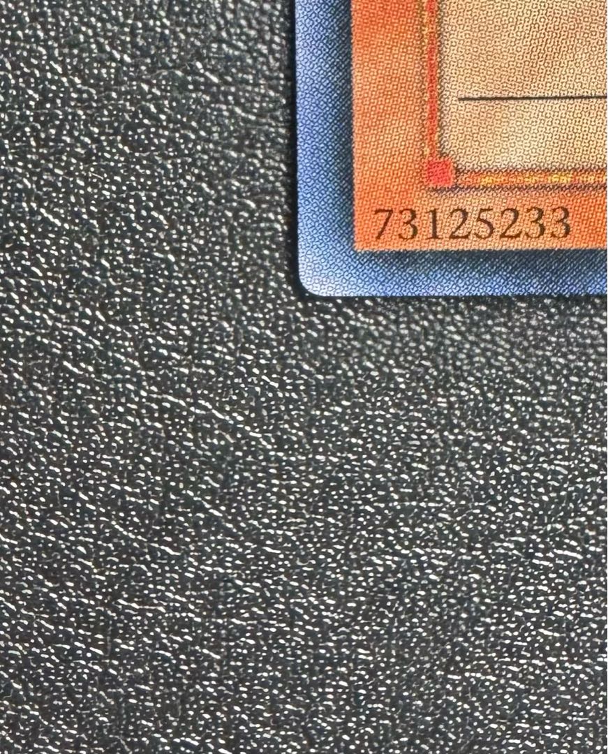 Raiza the Storm Monarch / Warrior Tribe / Yu-Gi-Oh! Card / Relief / Ultimate Rare 1枚