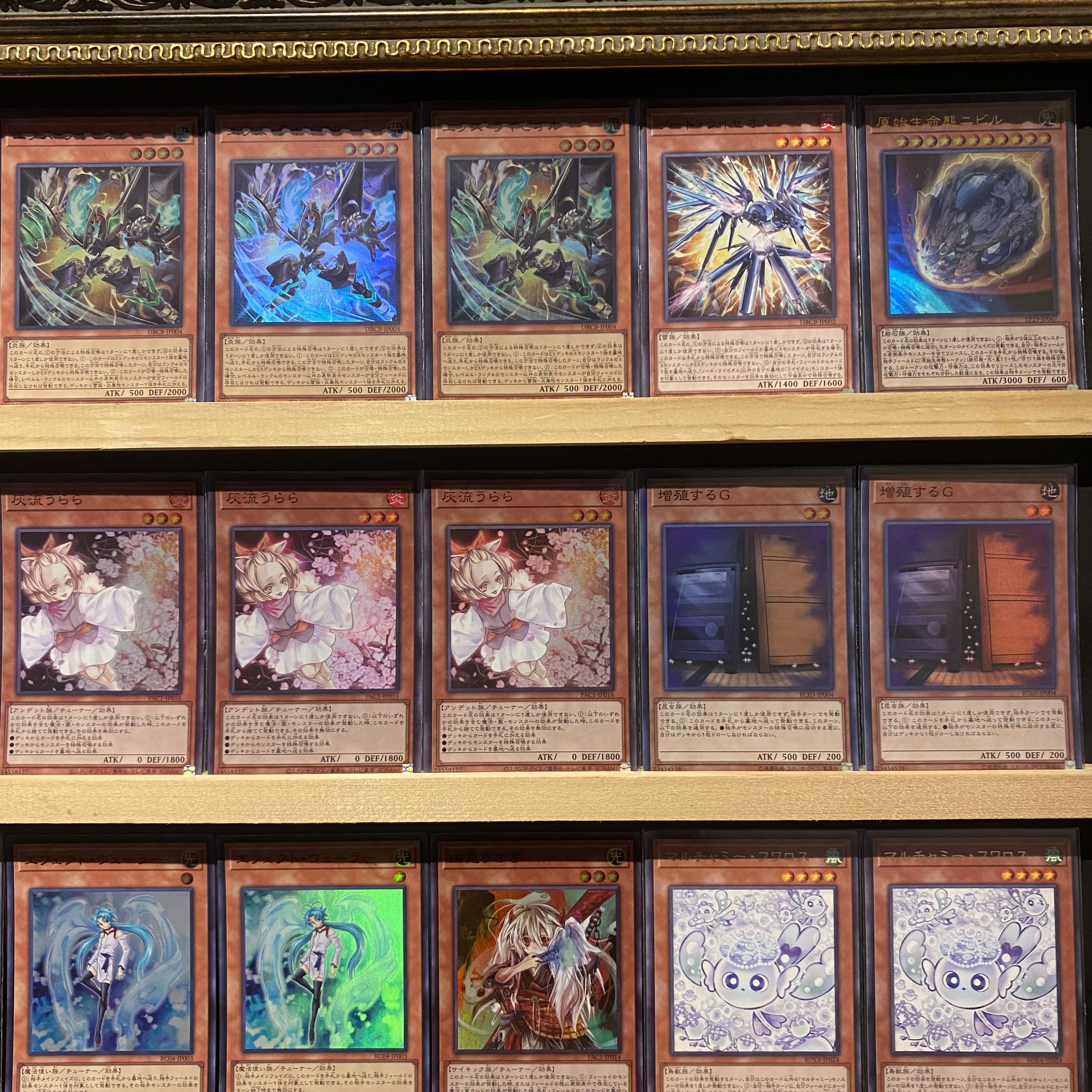 即日発送!大会用【ライゼオル】デッキ 遊戯王 ソード 即日発送!大会用【ライゼオル】デッキ 遊戯王 ソード