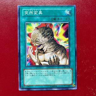 Aeb. Metamorphosis Normal JP038