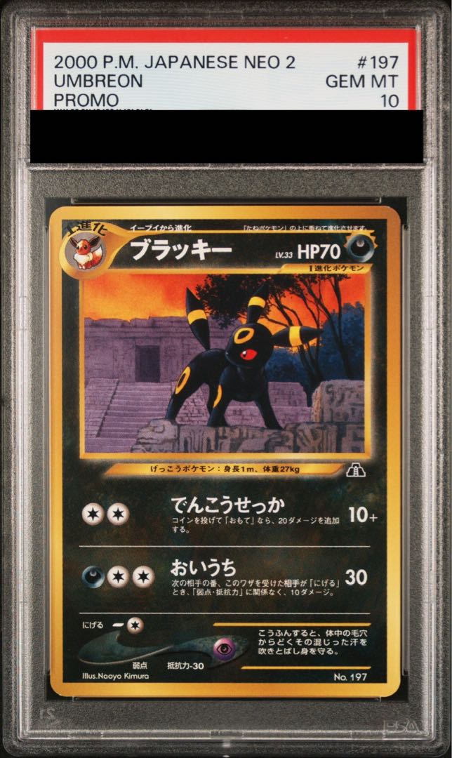 [PSA10] Umbreon Premium File Old Back 1枚
