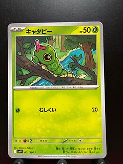 Rakurakudo] Pokeka Caterpie