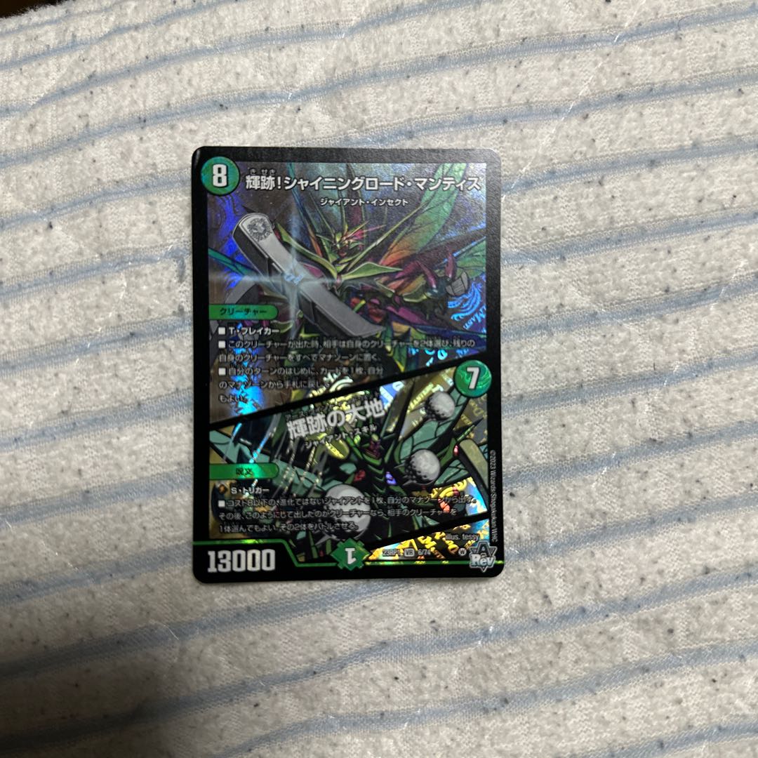 Shining Road Mantis! Shining Lord Mantis｜The Land of Bright Traces VR 6/74