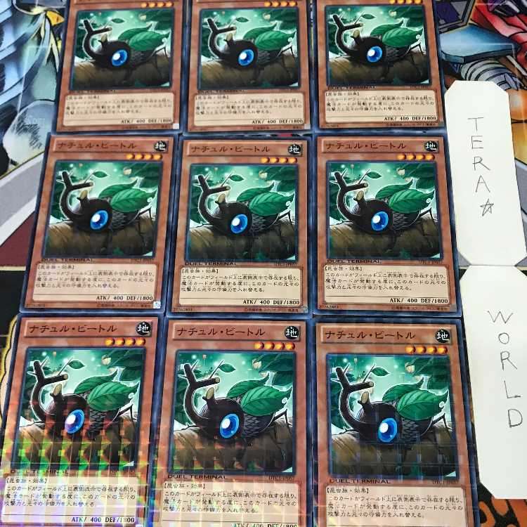 1 Duel Terminal, Effect, Set of 9, Tera. 9枚
