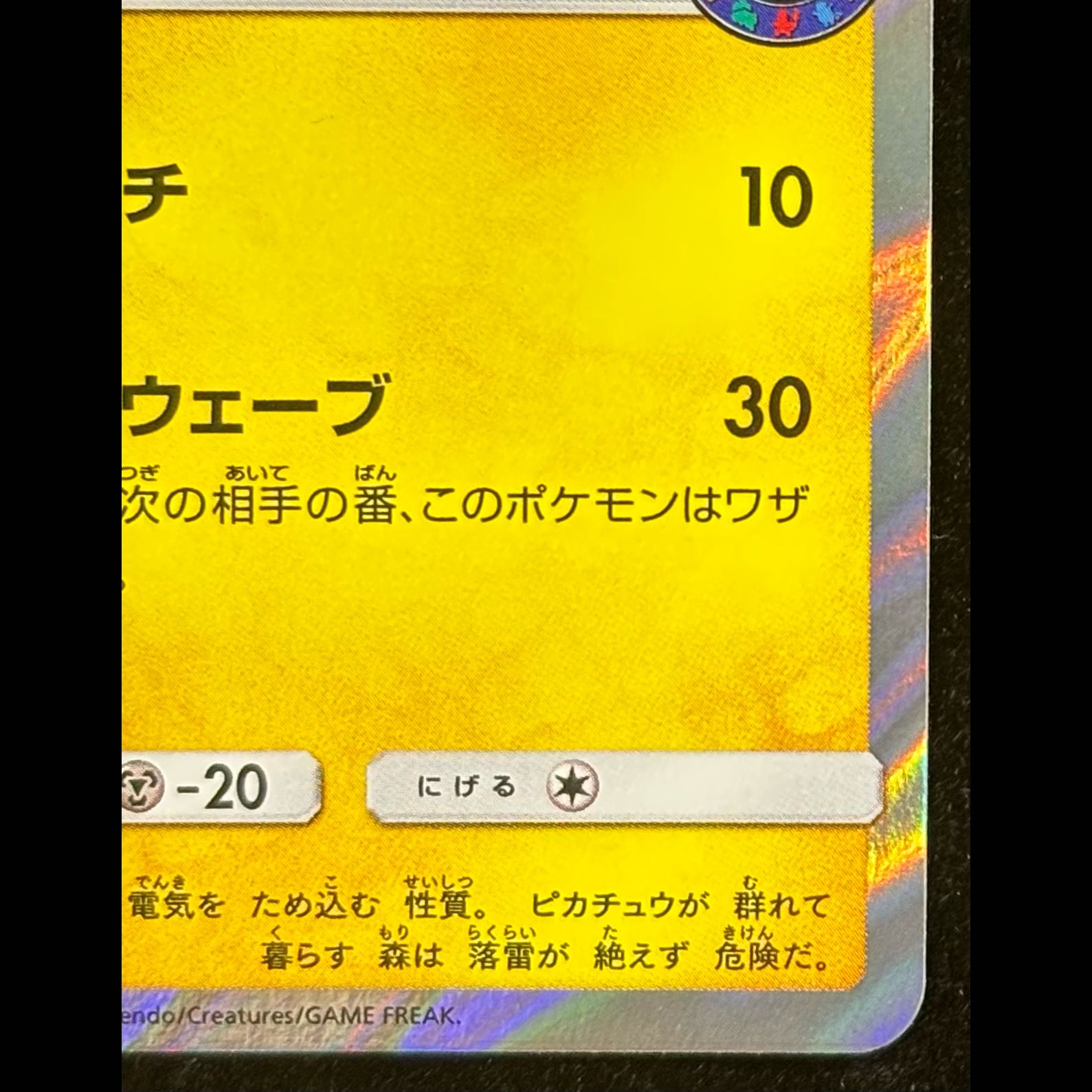 海で遊ぶピカチュウ PROMO 392/SM-P 1枚