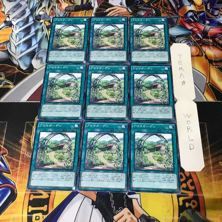 Aroma Garden CORE 1 Normal, set of 9 Tera