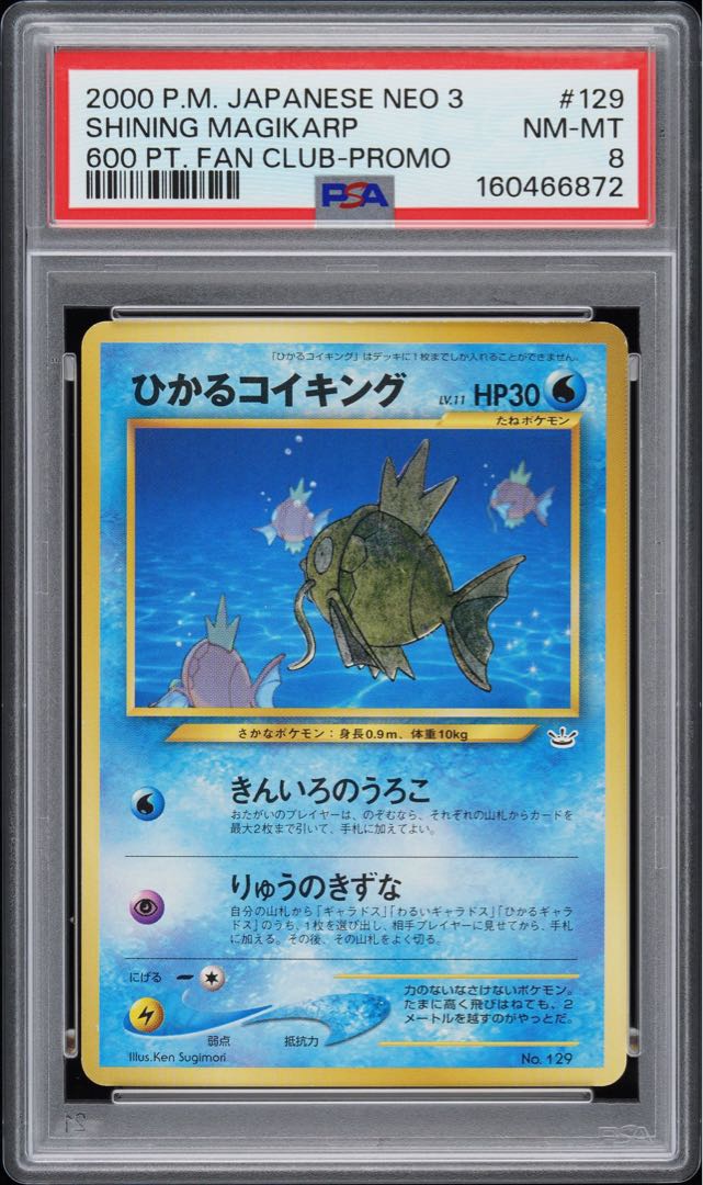 【PSA8】ひかるコイキング キラ ファンクラブ限定 旧裏 PROMO 1枚