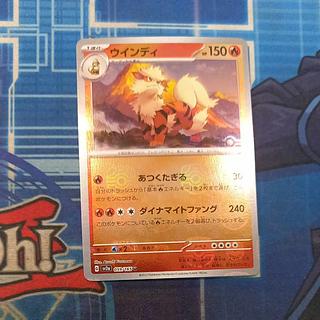 Arcanine (Master Ball pattern/mirror) U 059/165 1枚