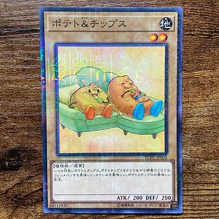 ポテト＆チップス ミレニアム JP001