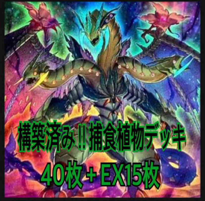 遊戯王 構築済み捕食植物デッキ40枚EX15枚の通販 神のじいさん 遊戯王 構築済み捕食植物デッキ40枚EX15枚の通販 神のじいさん