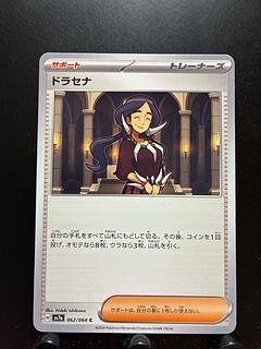 Rakurakudo] Pokeka Dracaena