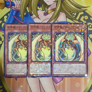 Hundred Apple Dragon - Ringo Blum Parallel 24TP-JP403