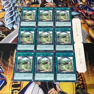 アロマガーデン 1 ノーマル 9枚セット てら