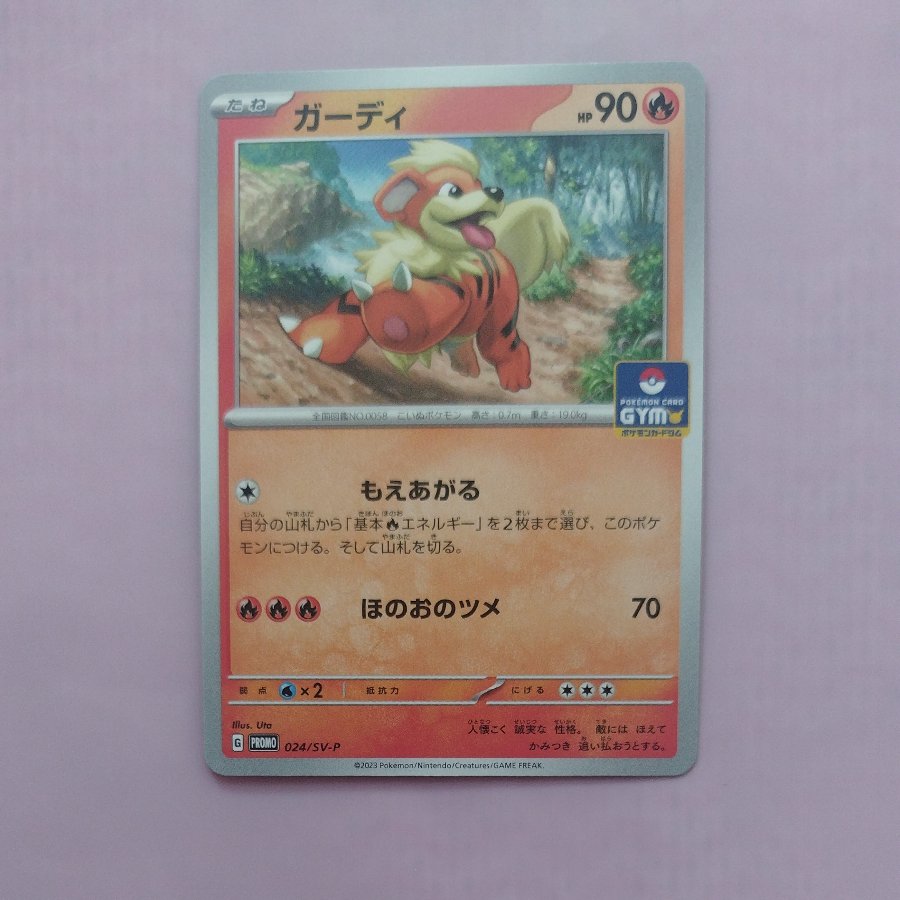@7 @7 Growlithe Promo Card Pack, Series 1 PROMO 024/SV-P 1枚
