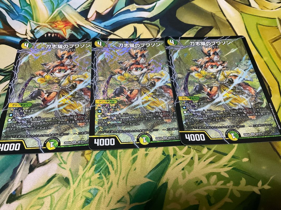 刀志猫のプワソン SR S8/S15 3枚