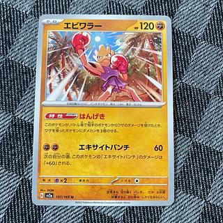 エビワラー U 107/165 1枚