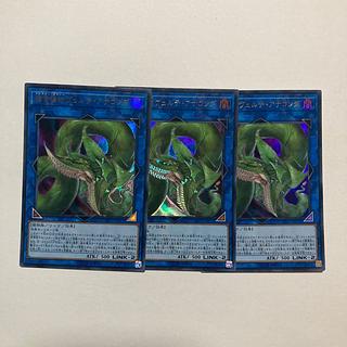 捕食植物ヴェルテ・アナコンダ ウルトラレア JP071