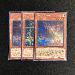 p84 輝ける星の竜 シークレットレア 3枚セット 遊戯王 トレトレ 3枚