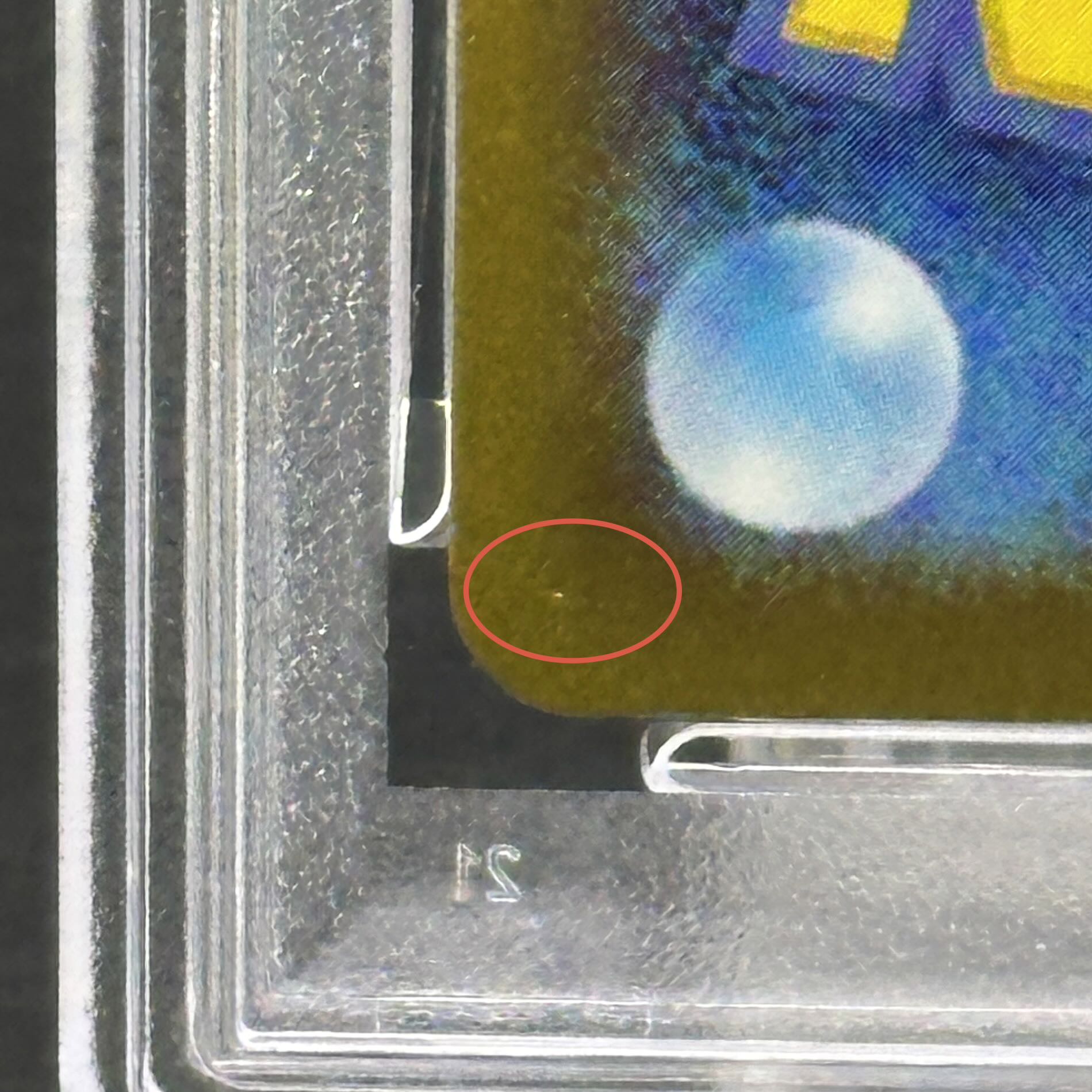 【PSA10】トウホクのピカチュウ PROMO 260/SV-P 1枚